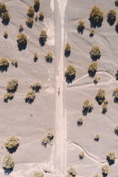 空中拍摄捕捉到沙漠地形、分散的树木以及中央的道路