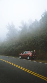A lone traveler stands beside a red SUV on a foggy forest road, creating a mysterious and serene atmosphere.