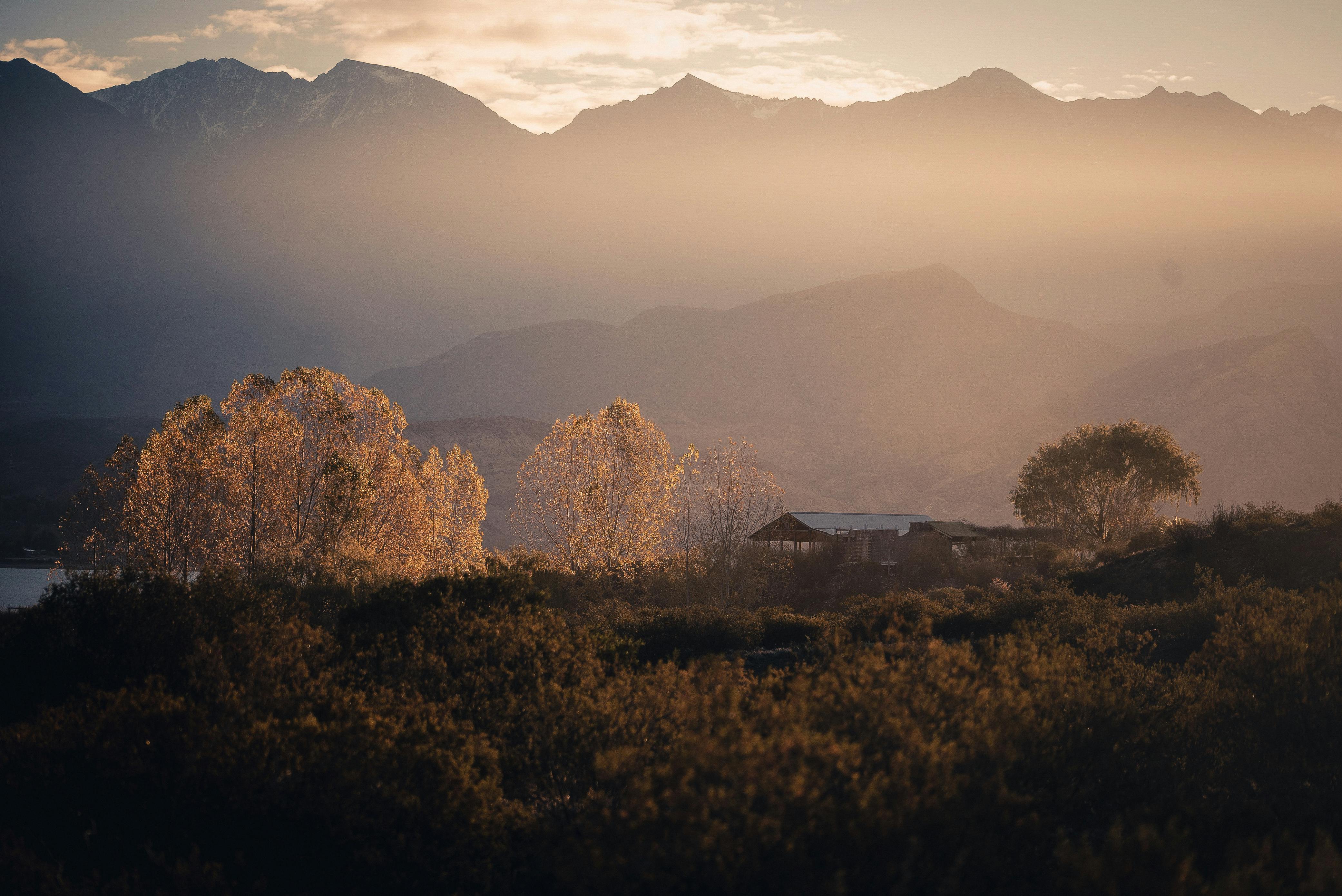 日出时分，山景宁静，薄雾缭绕，树木间有一座小结构沐浴在金色光芒中