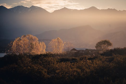 日出时分，山景宁静，薄雾缭绕，树木间有一座小结构沐浴在金色光芒中