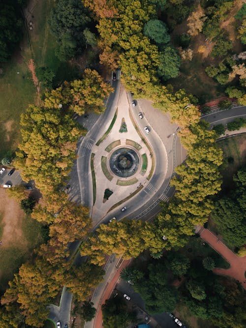 绿树和道路的鸟瞰图