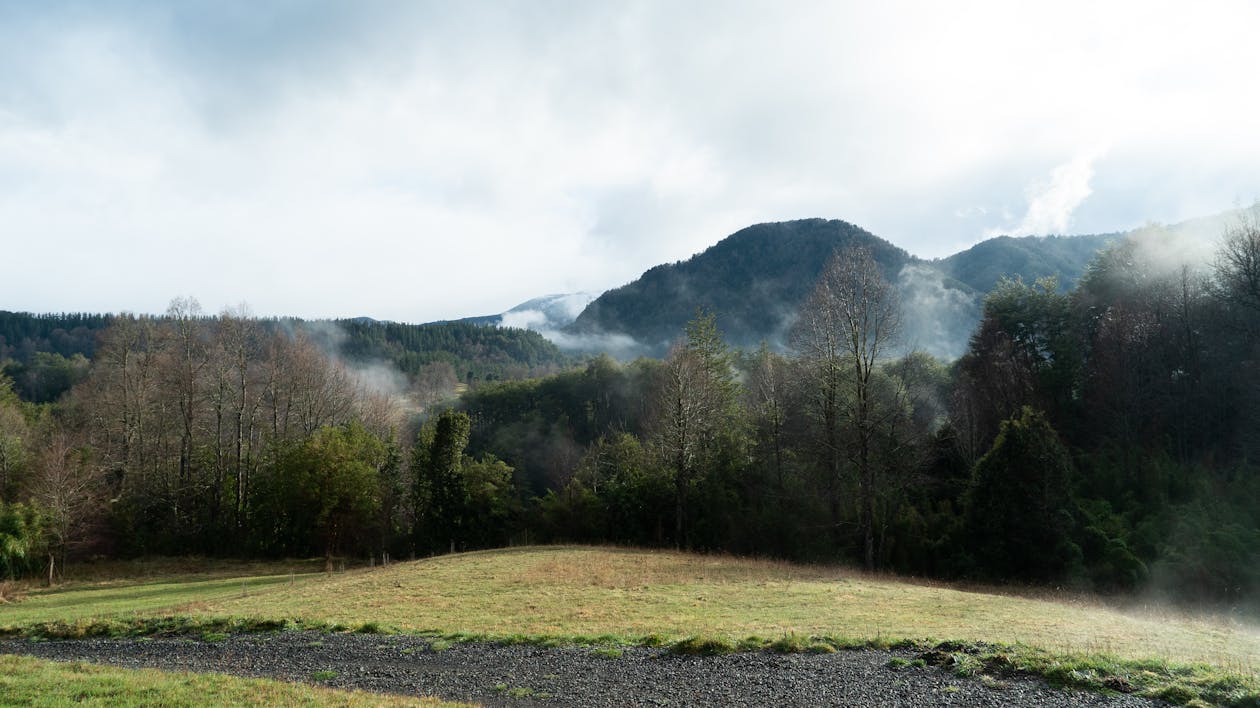 Mountains near forest and field in overcast weather in mist