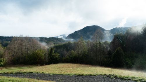 Free Magnificent view of mounts partially covered with fog near trees growing on green meadow between pathway under cloudy sky in daytime Stock Photo