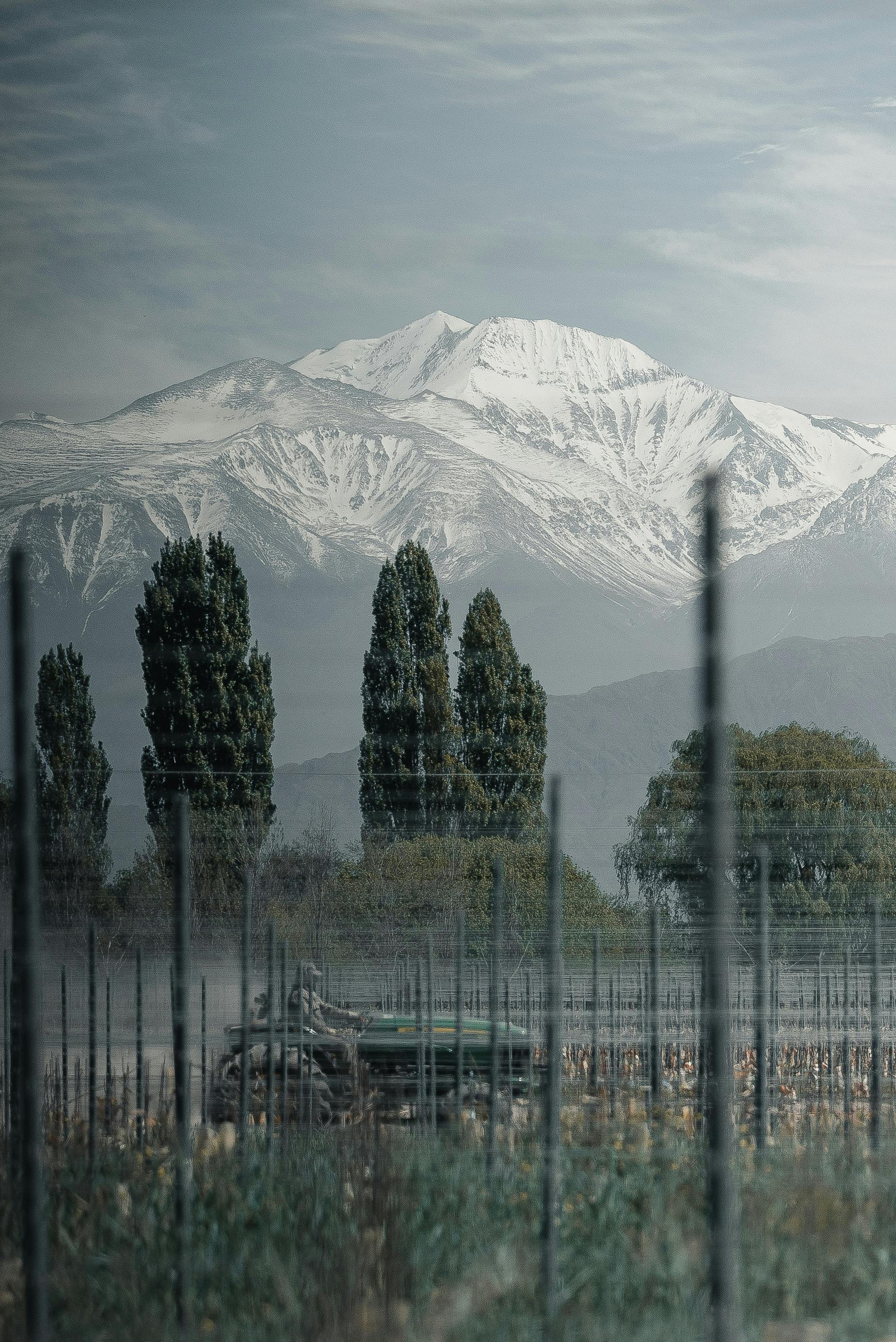宁静的农田、白雪皑皑的山脉与青翠的树木，共同构成了一幅优美的冬日画卷