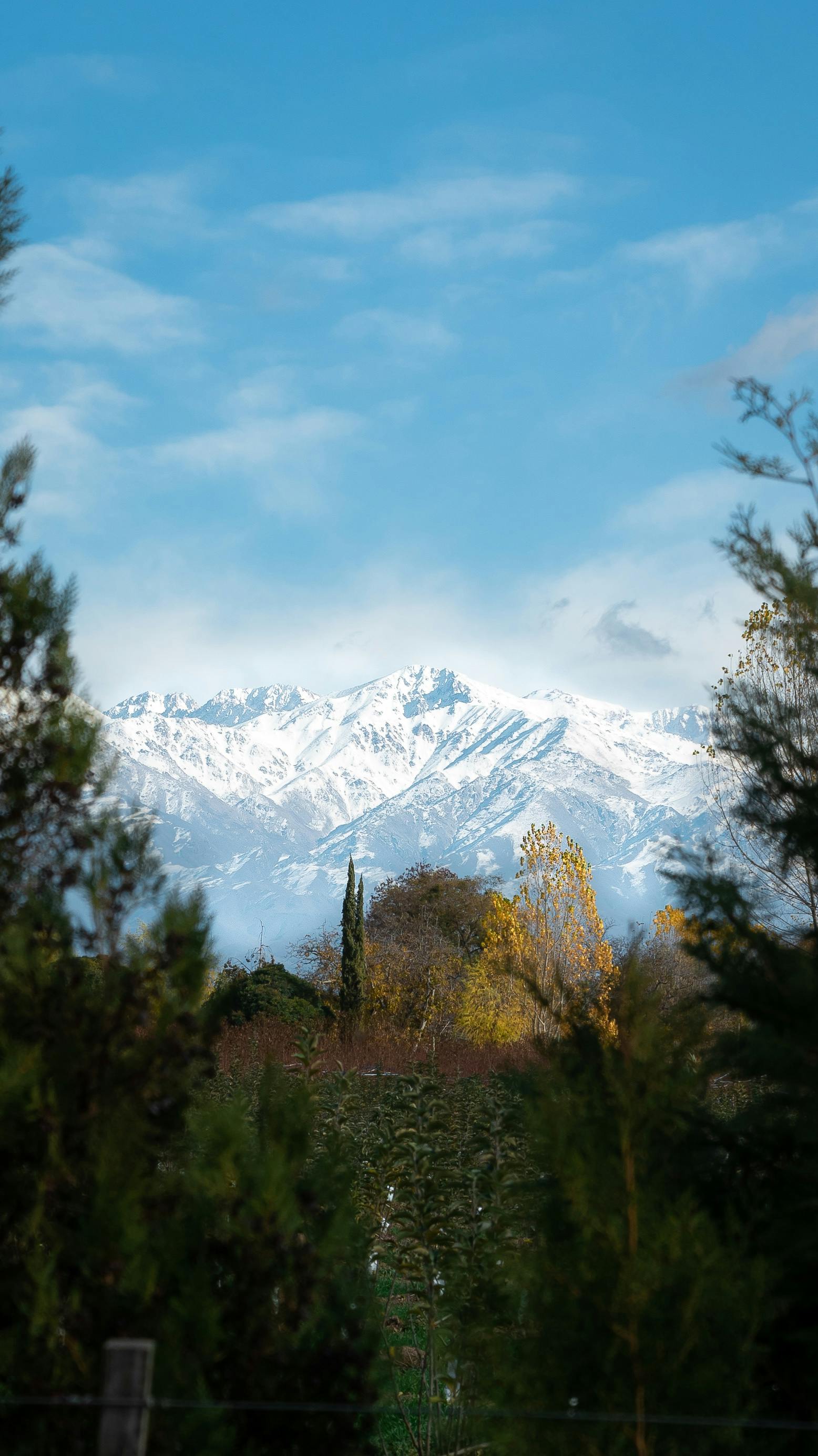 白雪皑皑的美丽山脉，四周环绕着郁郁葱葱的绿色植物，映衬着湛蓝的天空