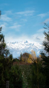 白雪皑皑的美丽山脉，四周环绕着郁郁葱葱的绿色植物，映衬着湛蓝的天空