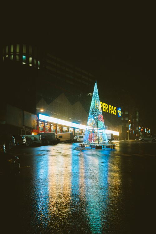 Free Facade of modern building with inscription and glowing light illuminating artificial tree in form of cone on platform near parked vehicles on asphalt pavement in town in twilight Stock Photo