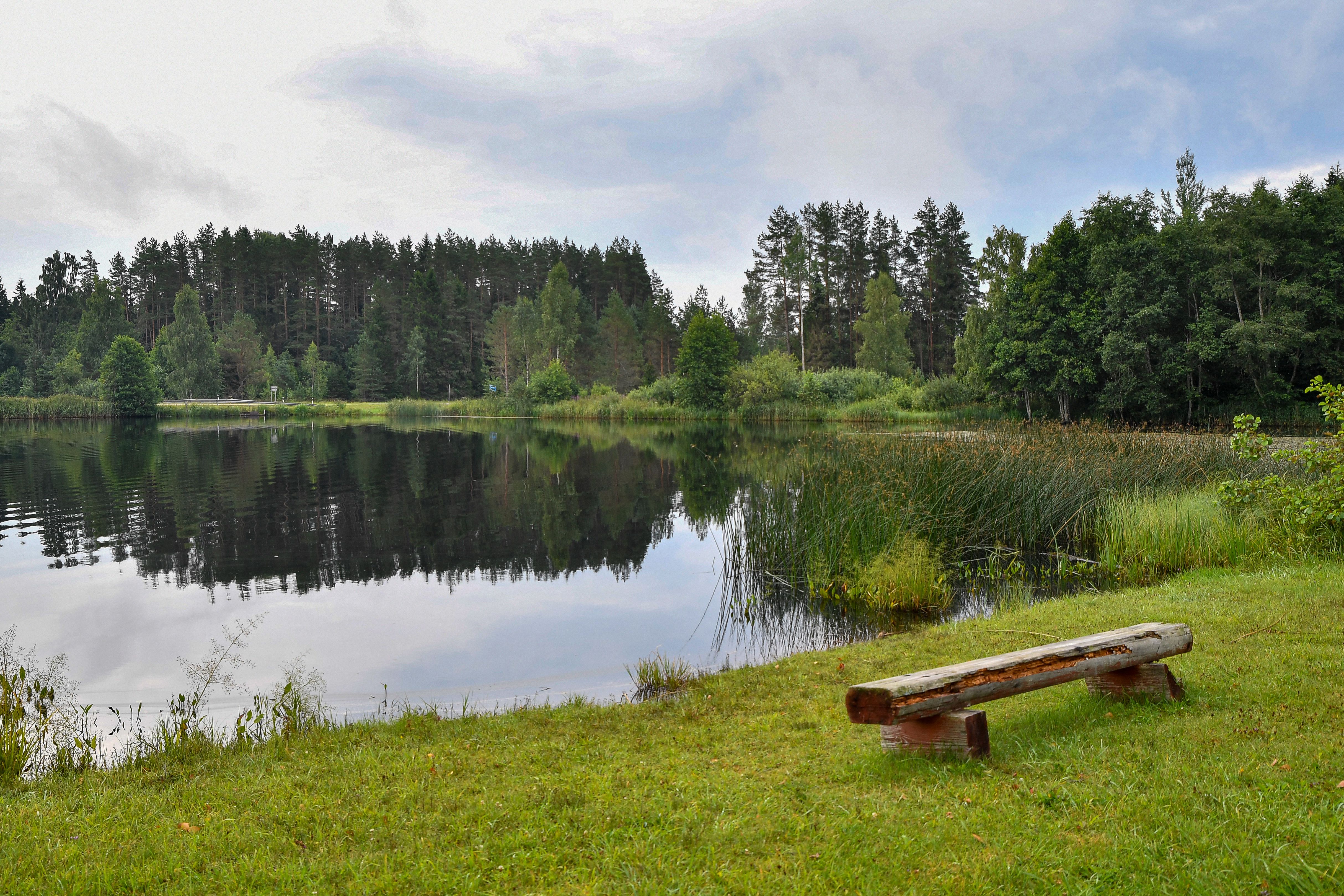 Serene lakeside view with a wooden bench, lush greenery and reflection, Kenni, Estonia.