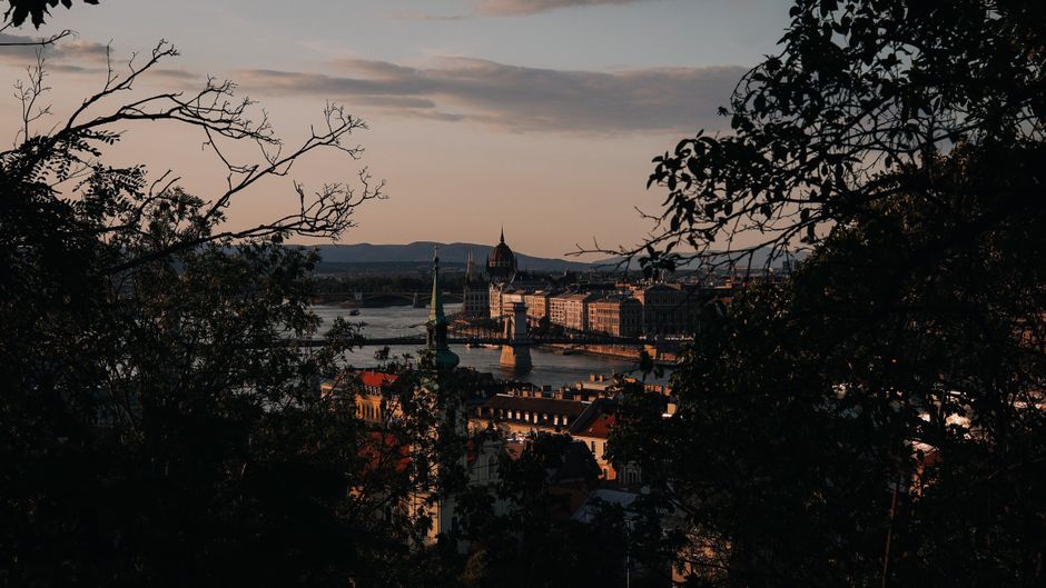 A captivating view of the Parliament in Budapest framed by foliage during sunset.