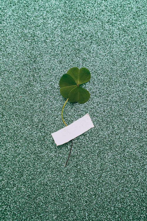 Free Clover Taped to Glitter Background Stock Photo