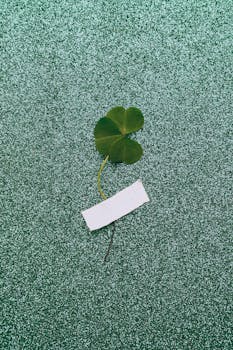 闪闪发光的绿色表面上贴着四叶三叶草，象征着运气和圣帕特里克节