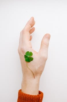 四叶三叶草放在人的手上，象征着好运和希望