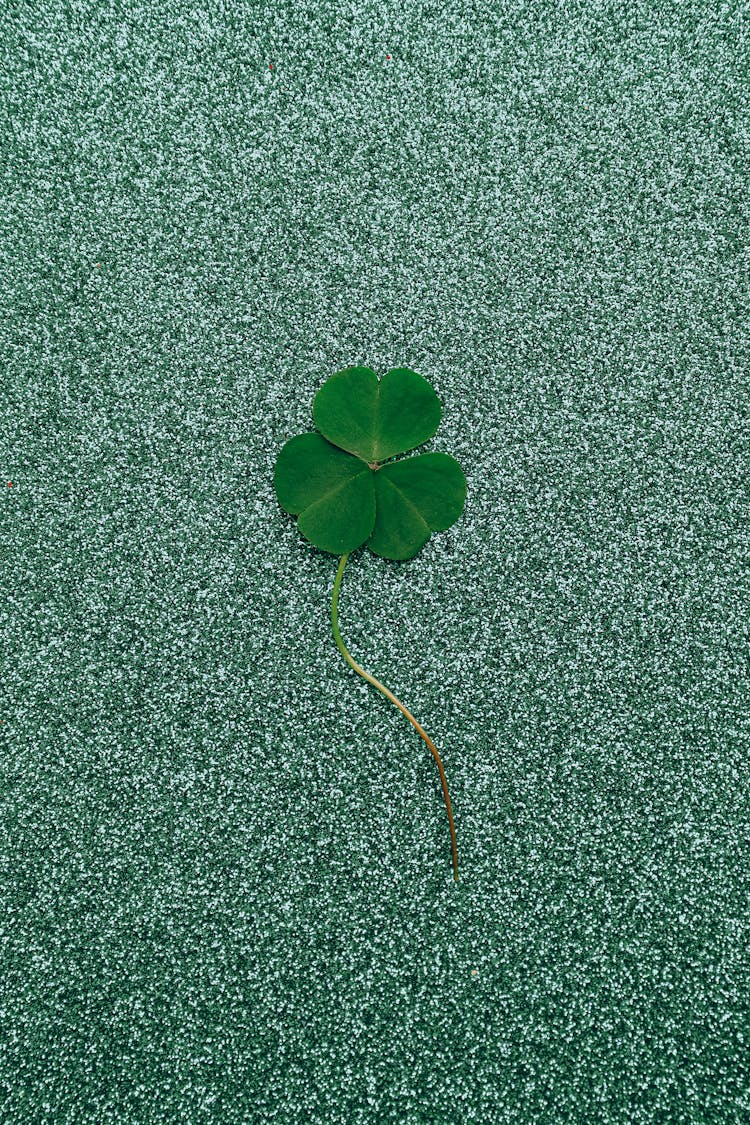 Clover On Glitter Background