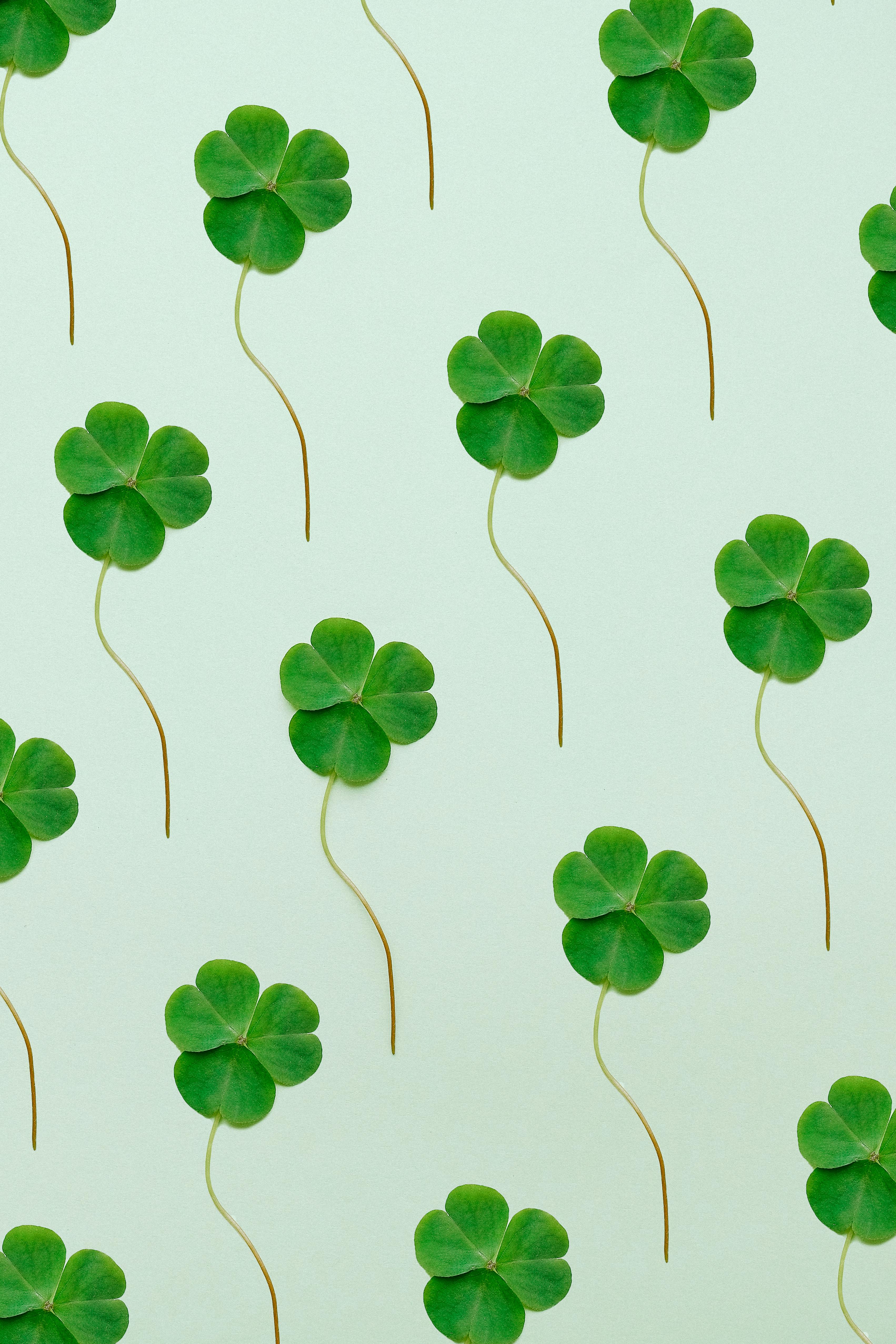 St Patrick Day Background Patricks Day Gold Green Background Image And  Wallpaper for Free Download