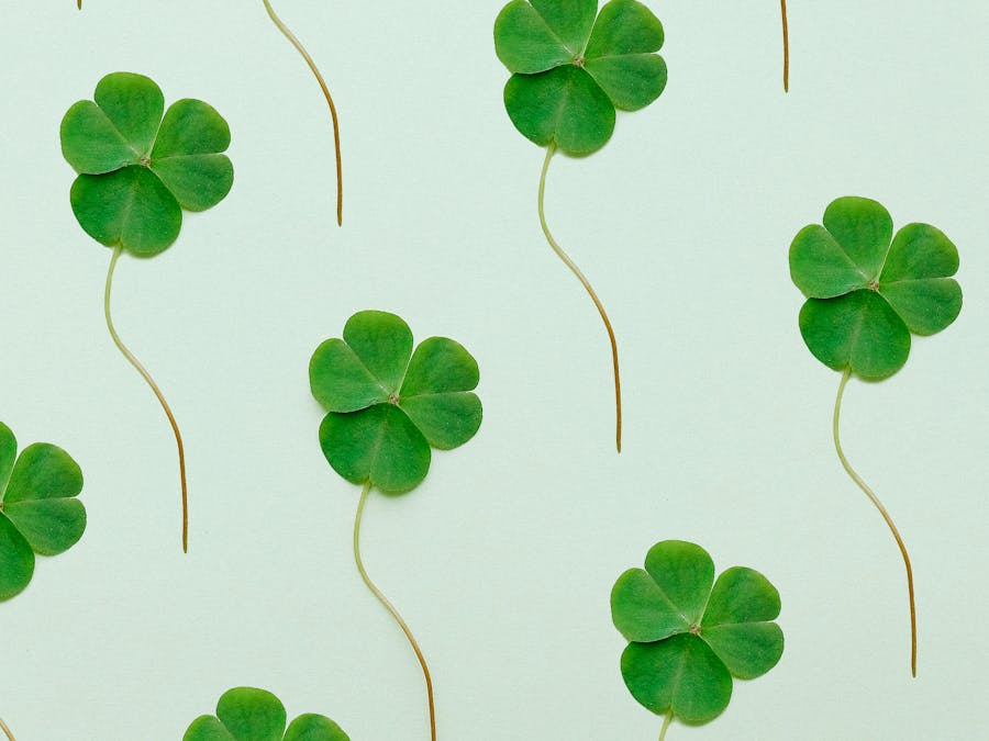 Who is Instagram's biggest competitor?