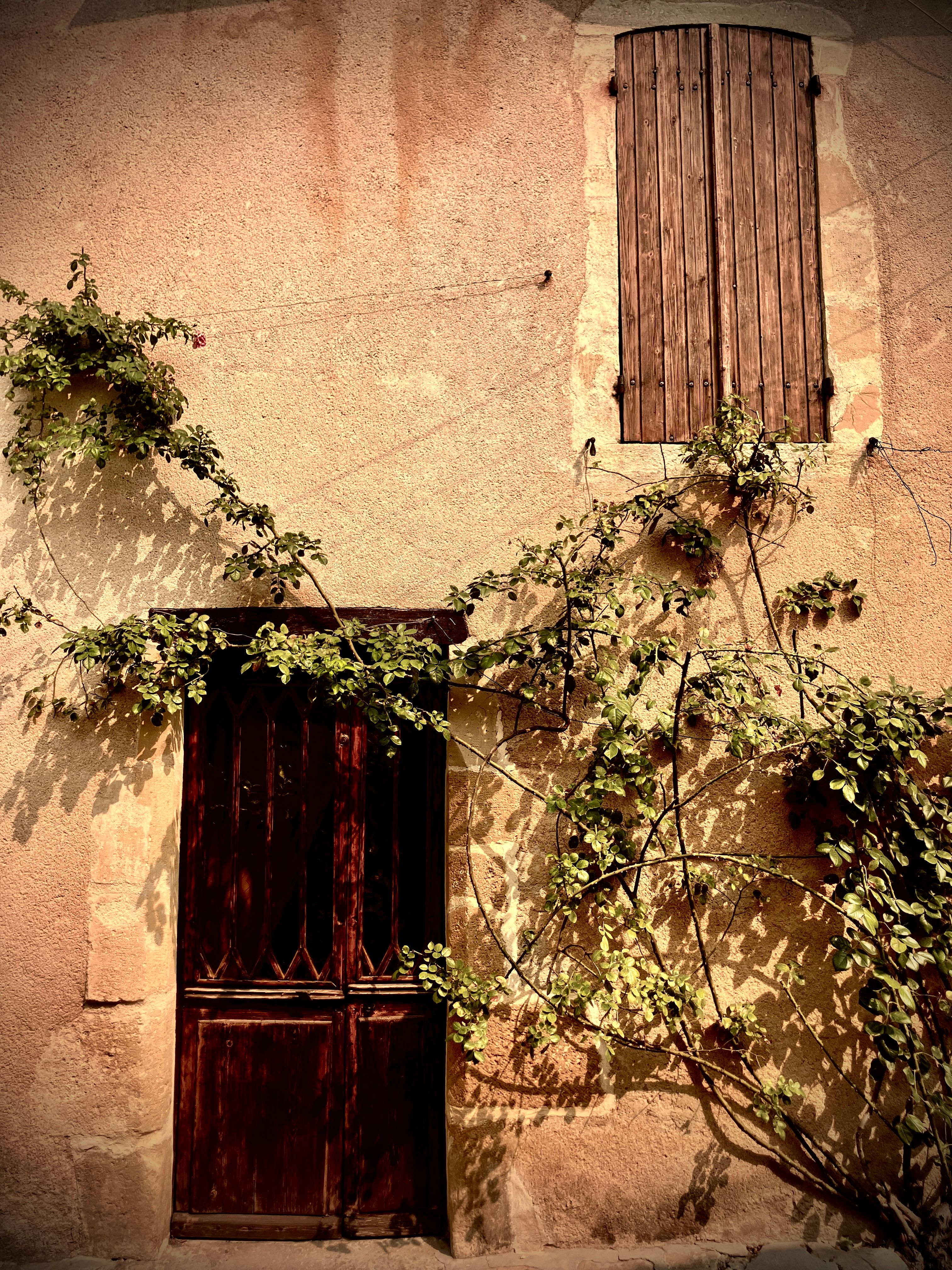 Rustic wooden shutters and vines on a sunny French village house.