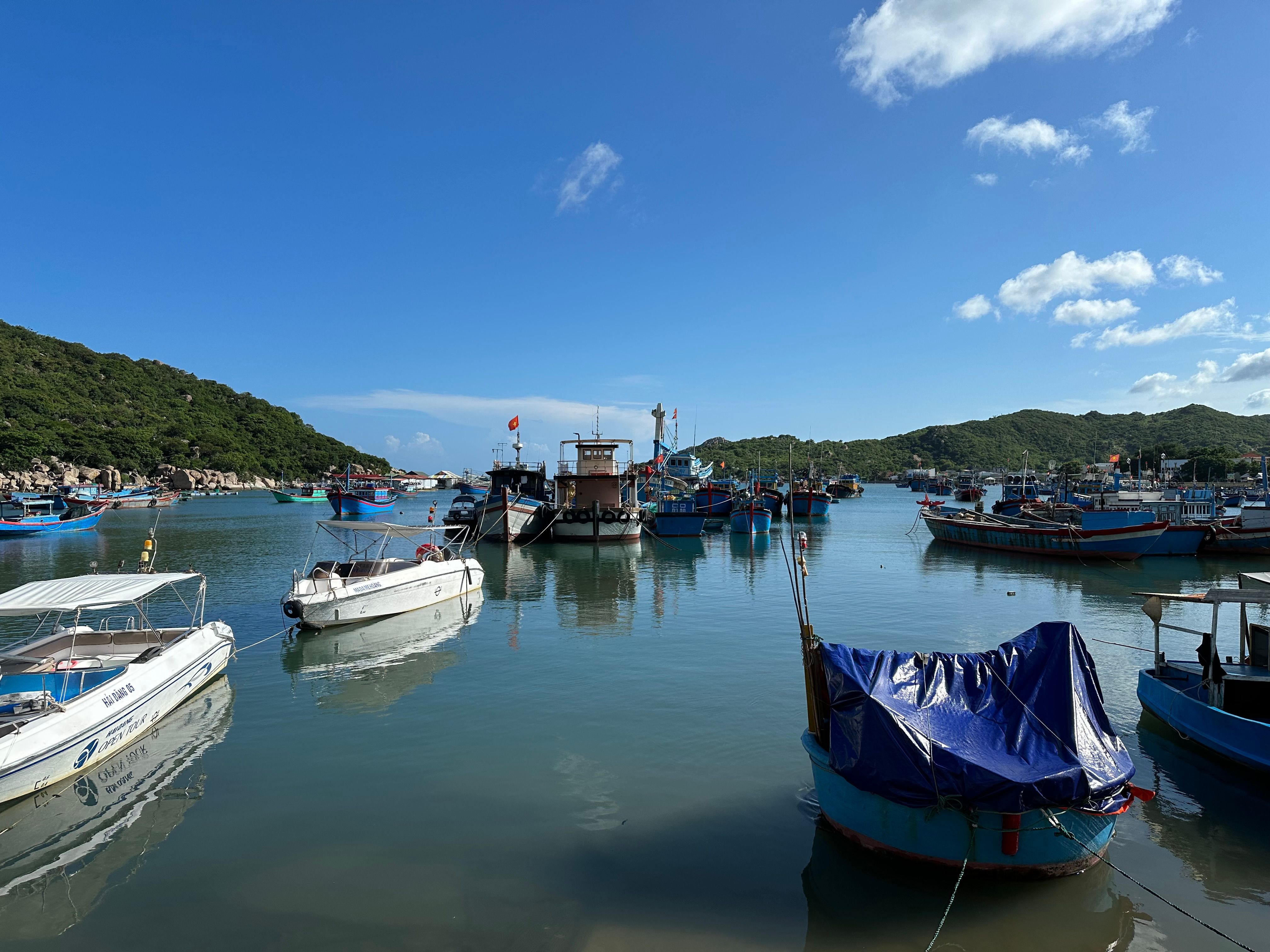 A picturesque view of a fishing harbor in Vietnam, showcasing colorful boats under a clear blue sky.