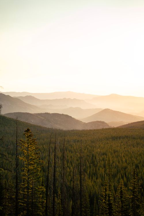 Free A breathtaking view of a golden sunrise illuminating the Colorado mountain landscape, highlighting the lush greenery. Stock Photo