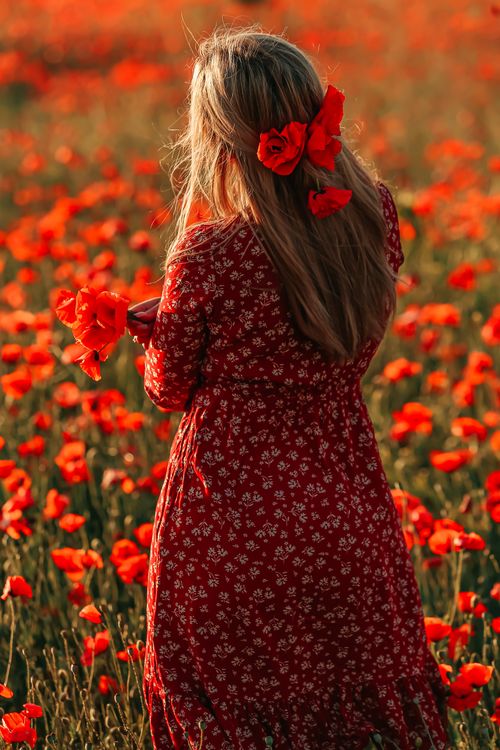 Free A woman in a floral red dress stands in a vibrant field of blooming poppies, evoking a warm and artistic mood. Stock Photo