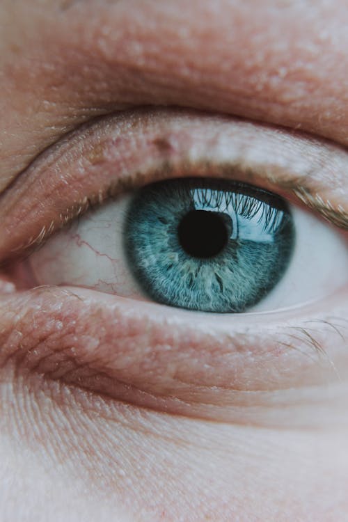 Free Crop unrecognizable person with bright eye and rare eyelashes Stock Photo