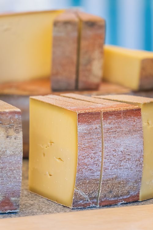 Free Slices of artisan cheese displaying texture and rind on a wooden surface. Stock Photo