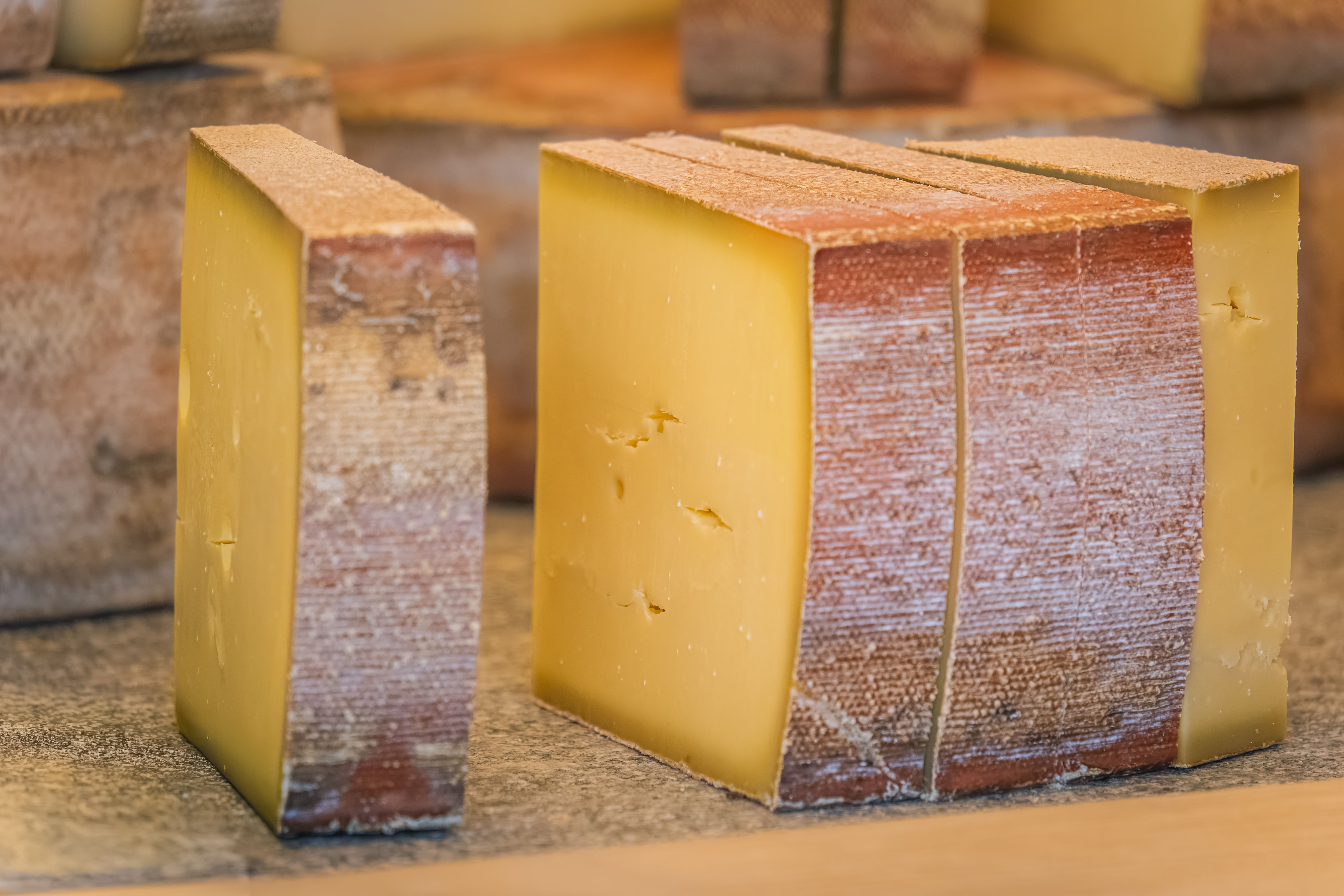 Trois pièces de pâte dure à la coupe, croûte brune granuleuse et pâte ivoire, posées sur une planche