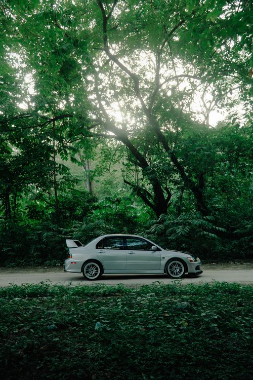 Free Silver sports car parked beside a lush jungle road under green foliage. Stock Photo