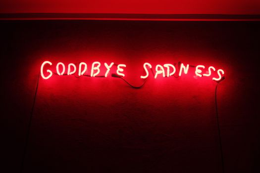 Red neon sign with 'Goodbye Sadness' message against a dark wall, captured indoors.