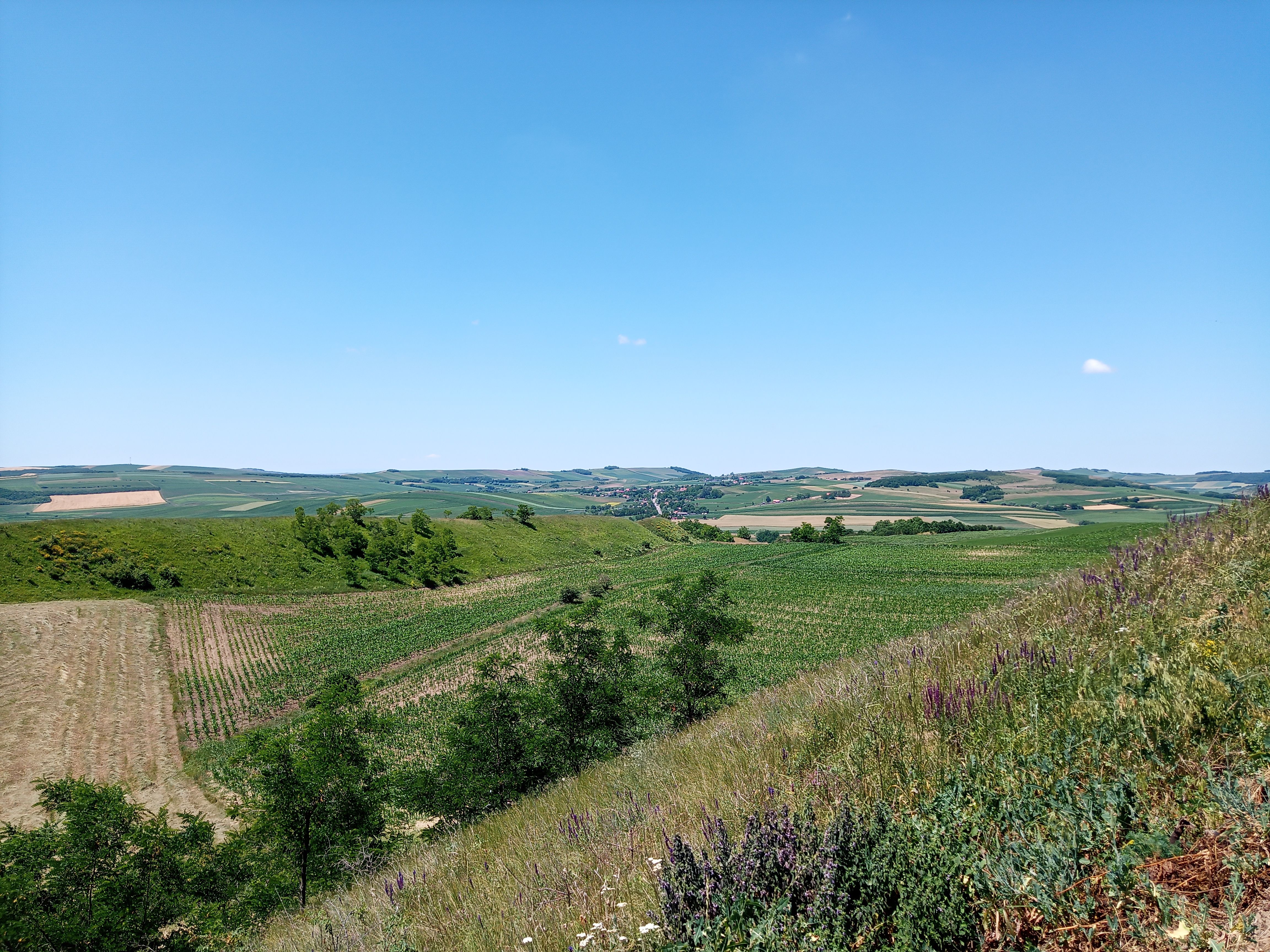 Transsylvanië: mythische regio in Roemenië vol kastelen en natuur