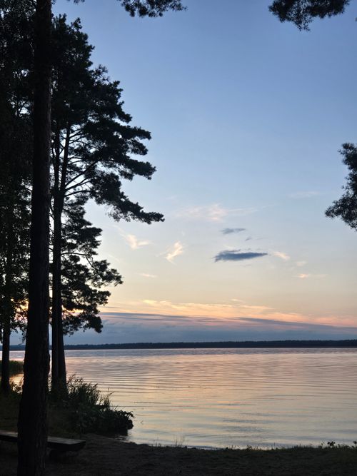 Free Peaceful lakeside view at sunset with trees silhouetted against colorful sky. Stock Photo
