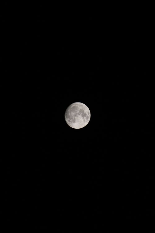 Free Photograph of the moon against a dark night sky in Milano, Italy. Stock Photo