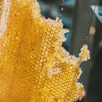 Golden honeycomb dripping with honey — Christian Toon on Pexels