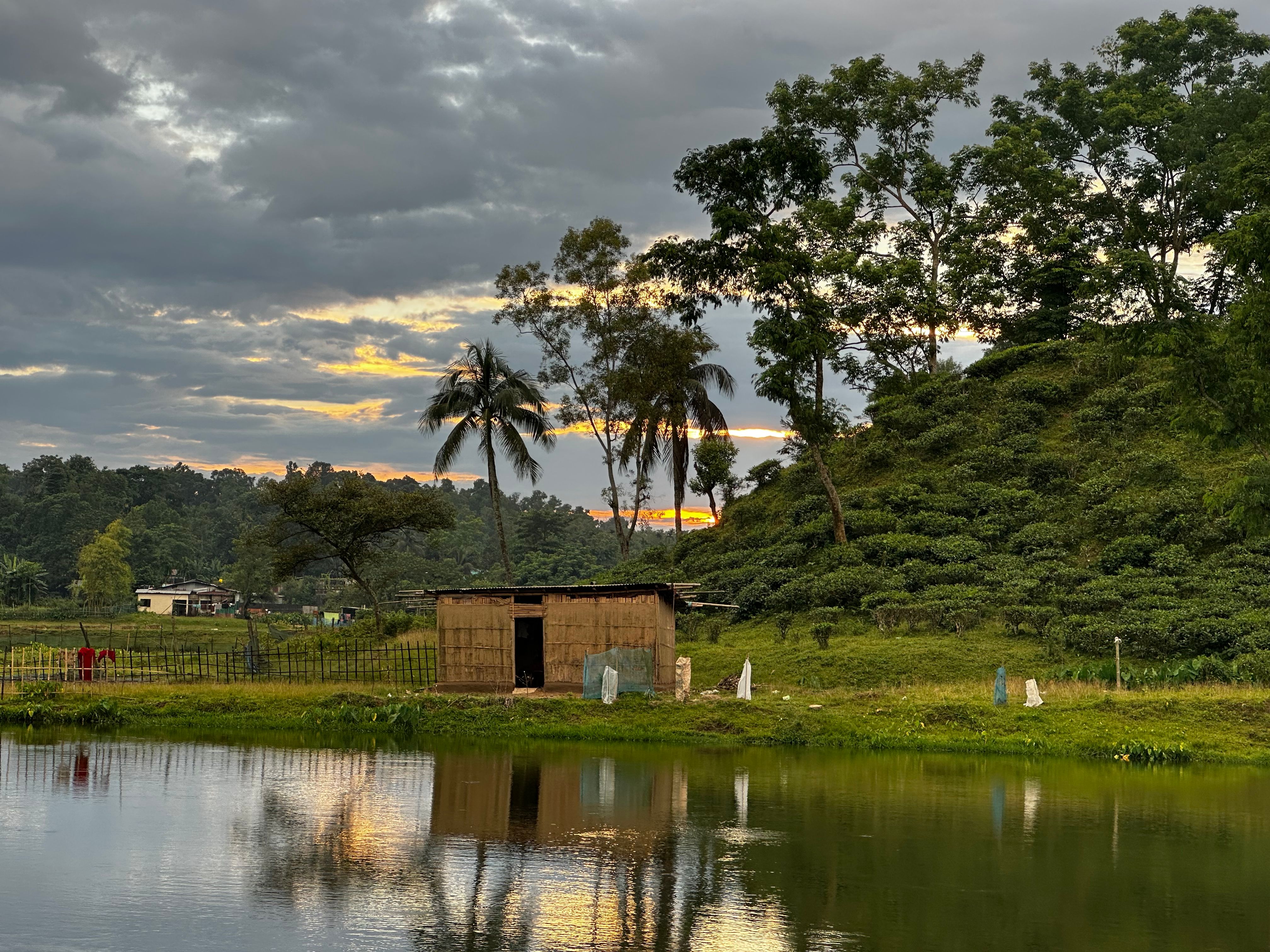 A serene rural scene with a small hut, trees, and pond at sunset.