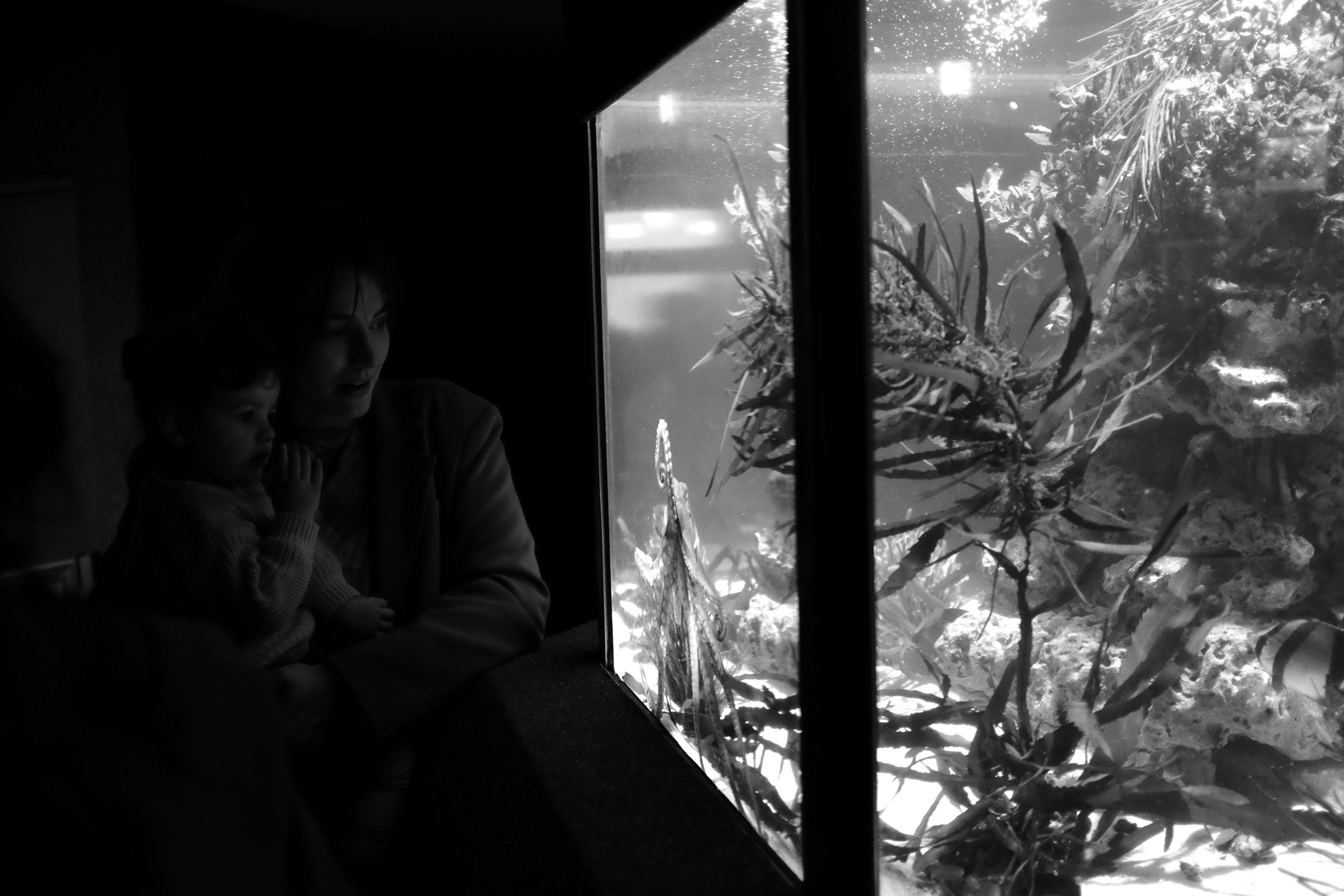 A mother and child observing aquatic life in an aquarium's dim light.
