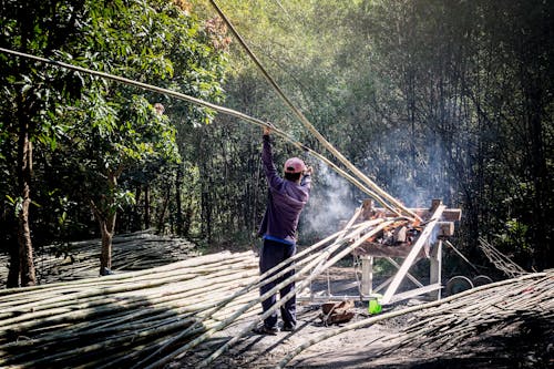 Back view of anonymous male worker in casual wear standing near pile of bamboo sticks while drying thin long trunks in wooden construction with fire smoke near green trees