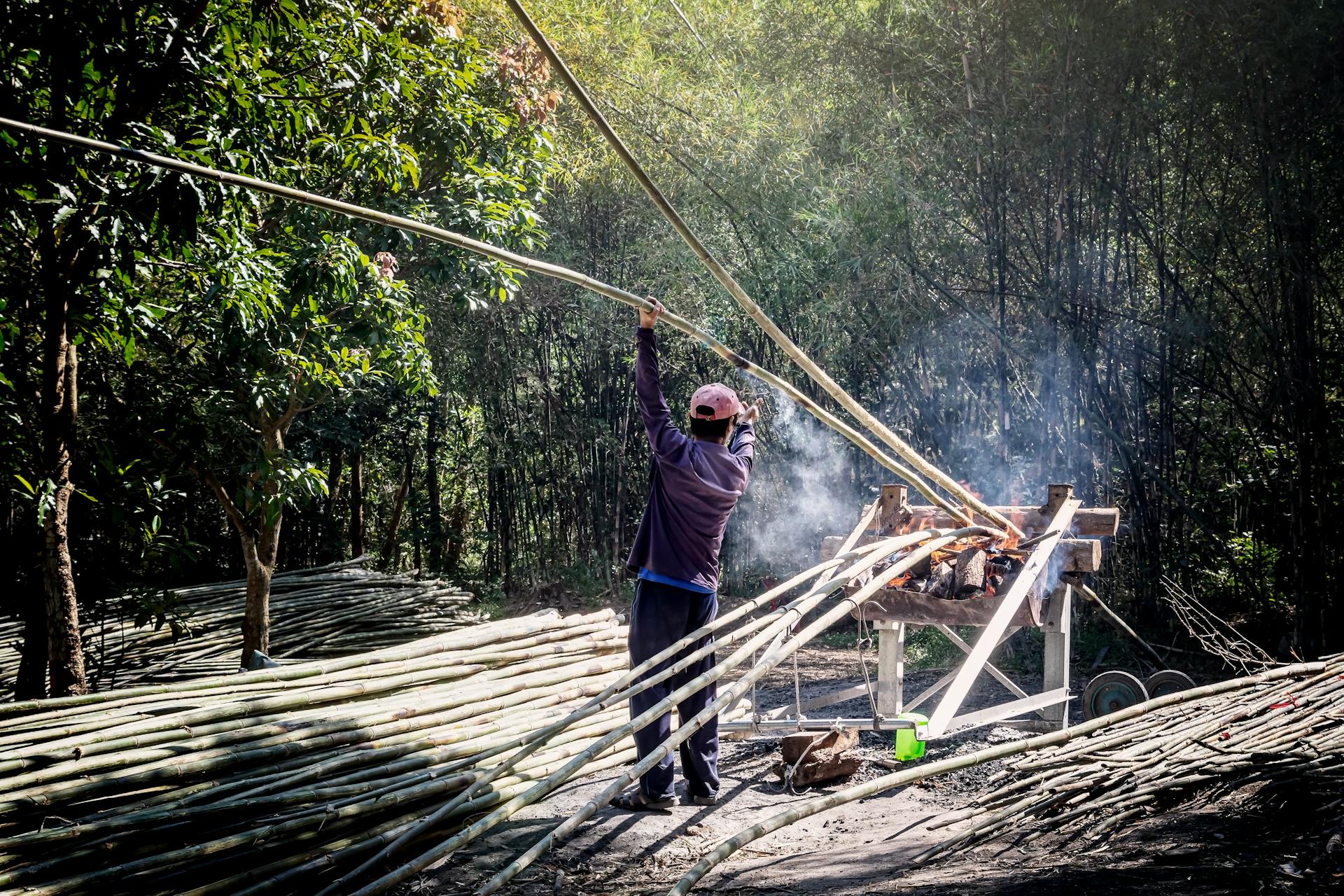 Back view of anonymous male worker in casual wear standing near pile of bamboo sticks while drying thin long trunks in wooden construction with fire smoke near green trees