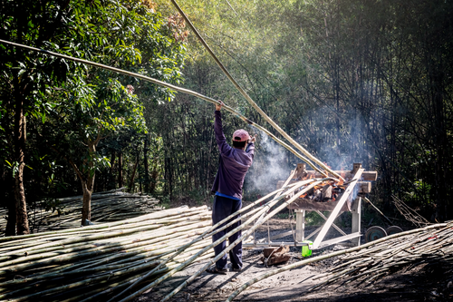 Free Back view of anonymous male worker in casual wear standing near pile of bamboo sticks while drying thin long trunks in wooden construction with fire smoke near green trees Stock Photo