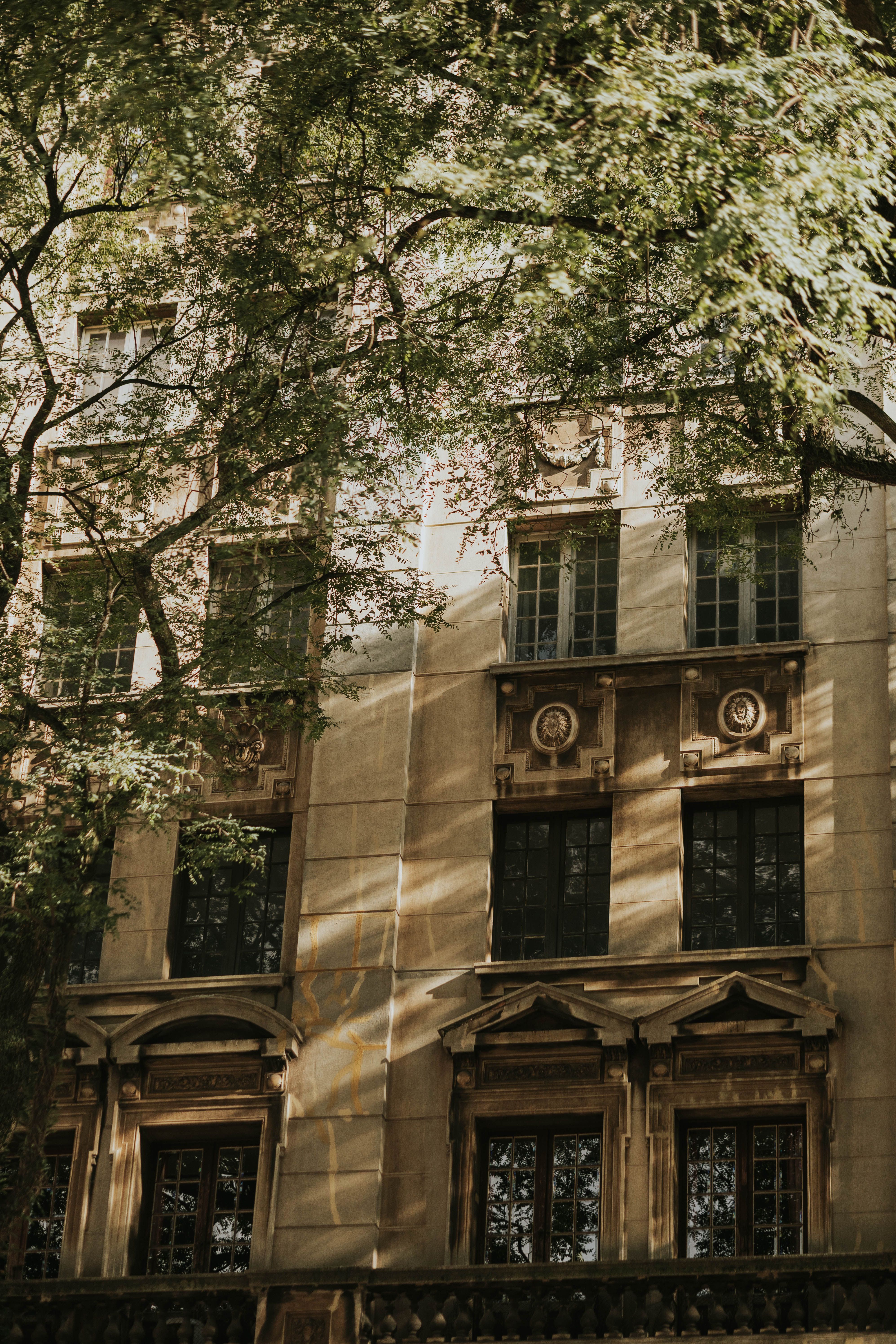 A classic building facade adorned with intricate designs, bathed in sunlight through lush tree branches.