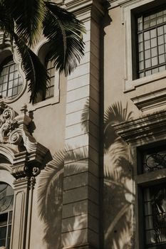 Sunrise light casting palm shadows on ornate building facade, highlighting architectural elegance.