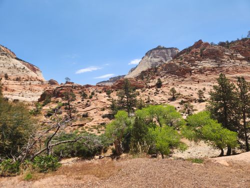Free Sunny day at Zion National Park showcasing stunning rock formations and greenery. Stock Photo