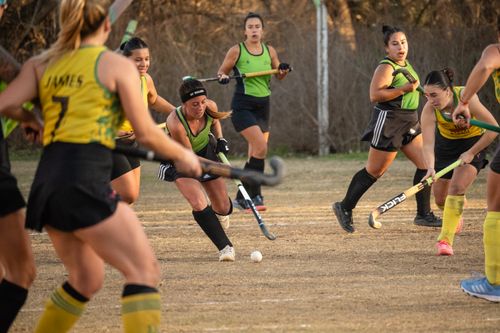 Free Energetic scene of women playing field hockey, showcasing teamwork and sport intensity. Stock Photo