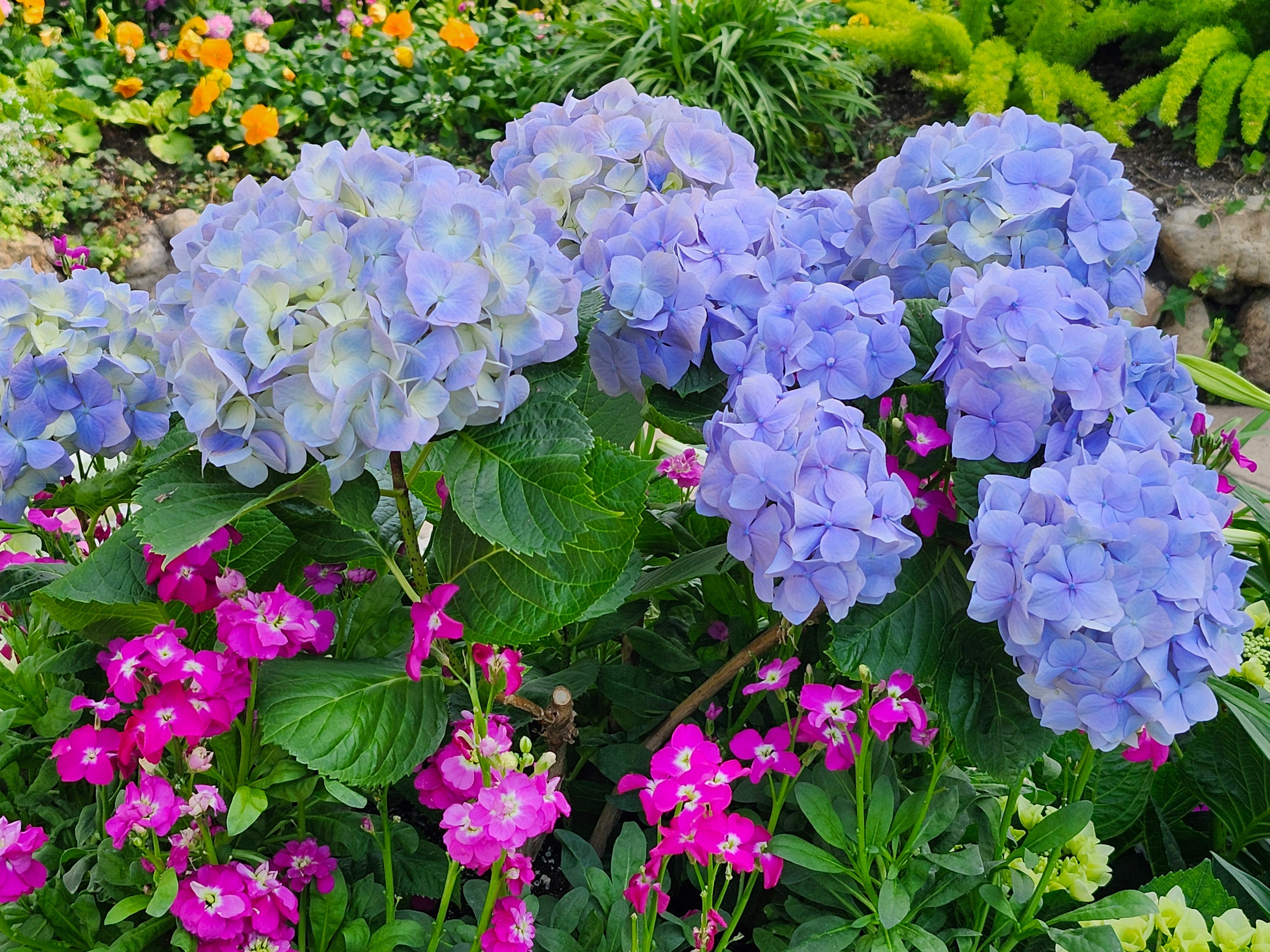 Butchart Gardens