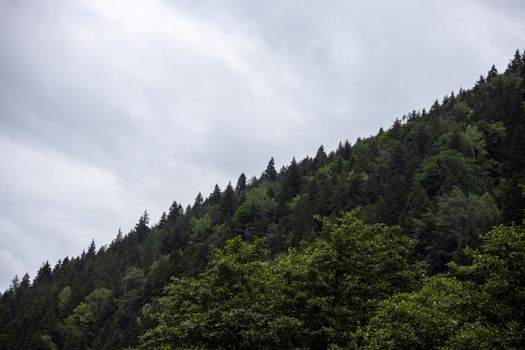 Scenic view of lush green forest hills under a cloudy sky in Hamsiköy, Trabzon, Türkiye.