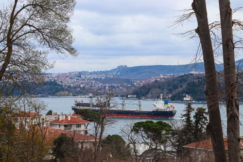 Free A cargo ship navigates the Bosphorus Strait in Istanbul, surrounded by scenic hills and residential buildings. Stock Photo