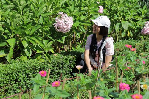 Free Smiling woman sitting in a lush green garden surrounded by vibrant flowers. Stock Photo