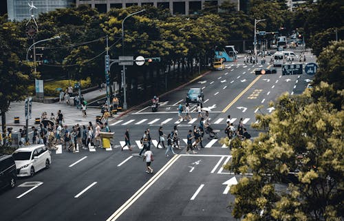 Persone Che Attraversano Sulla Corsia Pedonale