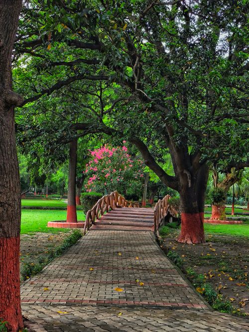 Free Picturesque park scene with a wooden bridge and lush greenery under a bright summer sky. Stock Photo