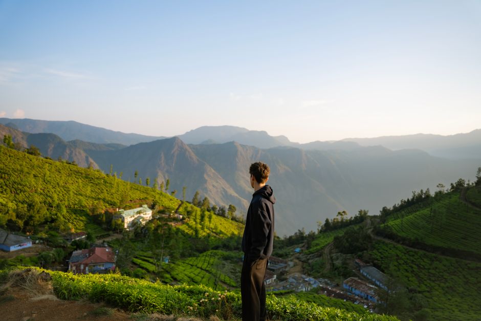 Person overlooking serene tea plantations and mountains in India at sunrise.
