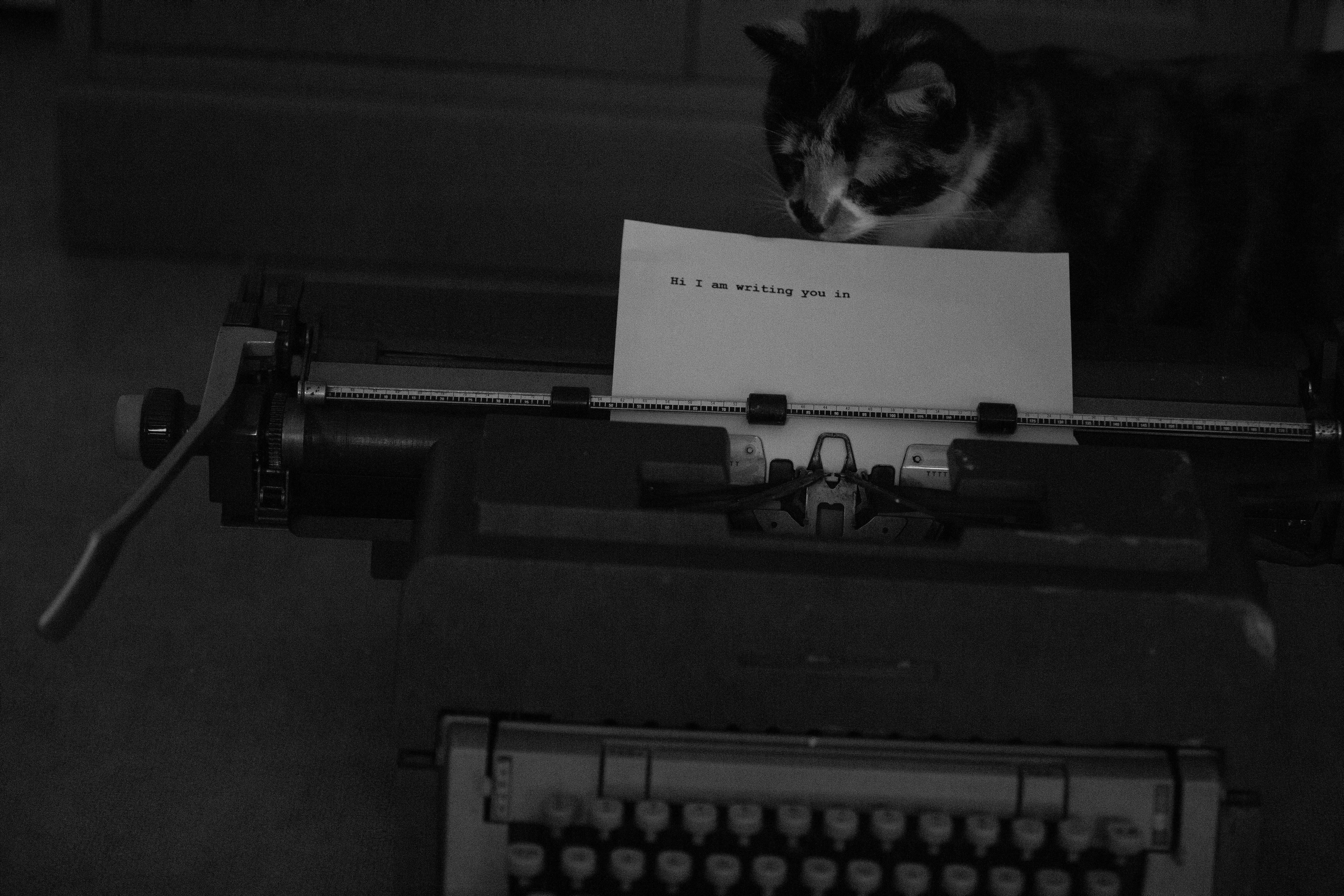 A cat curiously looks at a vintage typewriter with a note saying, 'Hi I am writing you in.'