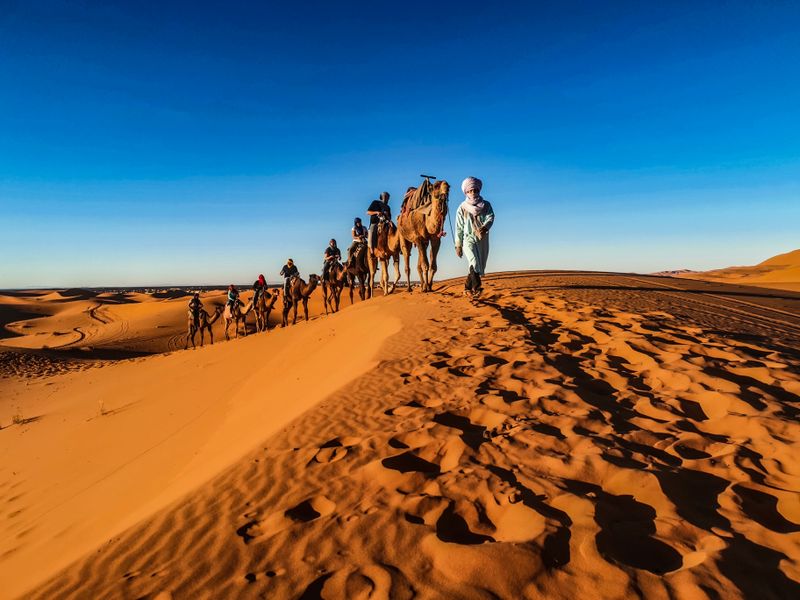 People riding camels Sahara desert